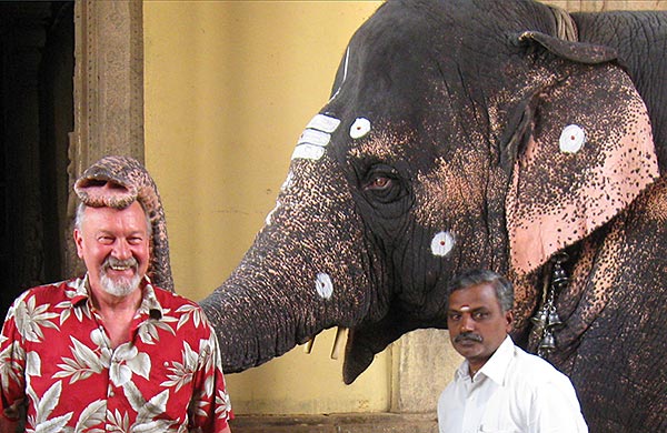 Blessed by a temple elephant