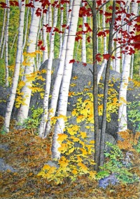 Maples and Birches