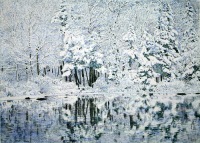 Winter Reflections