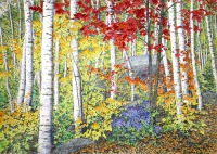 Stand of Birches