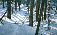 Snow Shadows