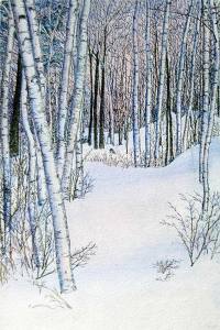 Birches and Snow